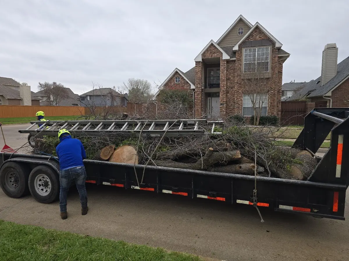 Expert Tree Removal with proper safety equipment in Balaton